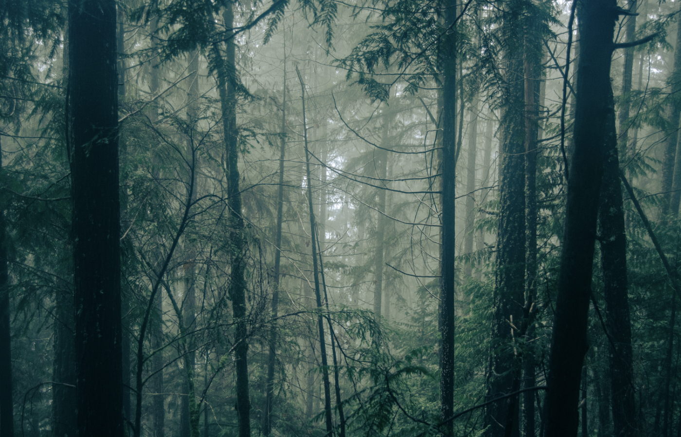 Banner image - a house in moonlight.